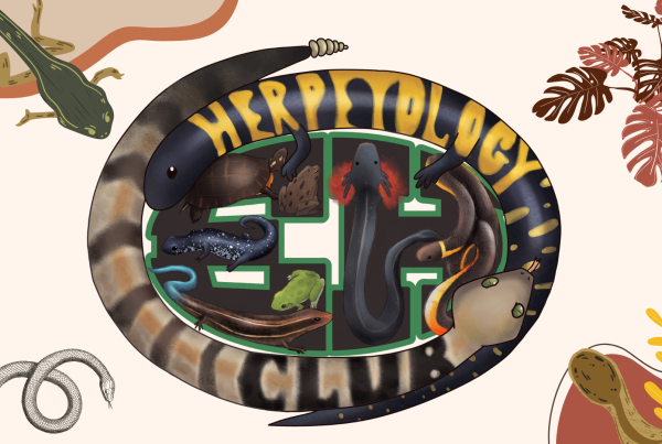 Herpetology Club