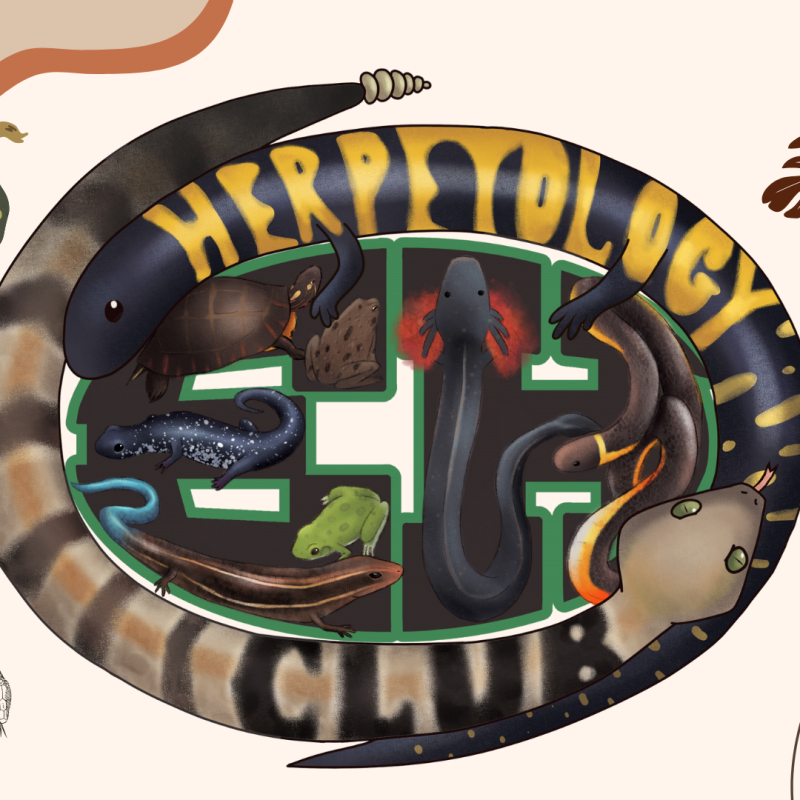Herpetology Club